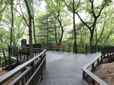 보행약자도 노원에서라면 안전하게 숲길을 산책할 수 있어요~ 노원구, 초안산 무장애숲길 1단계 구간 개통