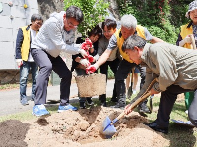 천상병시인⦁하얀 개나리⦁한반도 희귀 특산식물 미선나무 기념식재